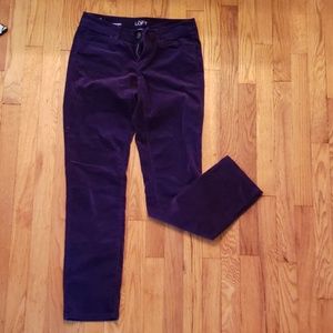 Purple Velvet Loft Skinny Trousers